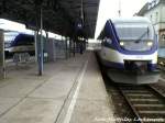 OLA VT 0004 mit Ziel �ckerm�nde Stadthafen (Rechts) & OLA VT 0009 mit Ziel Stralsund Hbf im Bahnhof Neubrandenburg am 3.2.13