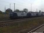 Abgestellte RBH-Loks im Bahnhof Angerm�nde am 7.9.14