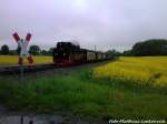 R�BB 99 1784 mit Ziel Ostseebad G�hren bei der Durchfahrt am Haltepunkt Beuchow am 26.5.13