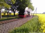 R�BB 99 4802 unterwegs nach Ostseebad G�hren / hier zwischen Beuchow & Posewald am 27.5.13