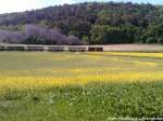 R�BB 99 1784 beim Verlassen des Haltepunkts Seelvitz am 30.5.13