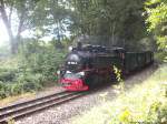 R�BB 99 1784 unterwegs nach Lauterbach Mole am 5.8.13