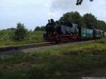 R�BB 99 4011 unterwegs nach Lauterbach Mole / Hier zwischen Beuchow & Putbus am 6.8.13
