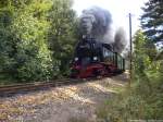 R�BB 99 4011 mit dem P104 zwischen Sellin & Garftitz am 15.8.13
