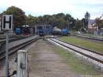 Blick auf die R�BB 251 901 am Kleinbahn BW in Putbus am 15.9.13