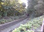Mit Personenwagebn Voraus kam R�BB 99 4011 aus Lauterbach Mole wieder nach Putbus zur�ck bei der Einfahrt in Putbus am 30.9.13