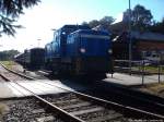 R�BB 251 901 hat sich vom Zug Getrennt und wird nun bis zur n�chsten Fahrt nahc Lauterbach Mole im Bahnhof Putbus Wagen rangieren am 2.10.13