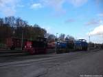 Blick auf die R�BB K�f 6003, 251 901 & im Hintergrund Mh 52 im kleinbahn BW Putbus am 29.10.13