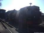R�BB Mh 53 und 99 1782 abgestellt am Kleinbahn BW Putbus am 20.3.14