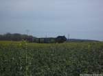 R�BB 99 1781 kurz vor Putbus am 17.4.14