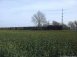 R�BB 99 1781 kurz vor Putbus am 17.4.14