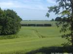 R�BB 99 1784 kurz vor Putbus am 9.6.14