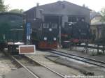 K�f 6003 und 99 4633 im Kleinbahn-BW Putbus am 29.5.15