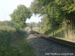 R�BB 99 1781 beim kurz vor dem Putbusser Bahnhof am 29.5.15