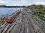 Der DB 425 809-1 erreicht sein Ziel Lindau Insel.

17. Sept. 2024