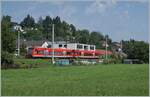 Zwei DB 650 Treibwagen streben bei Enzisweiler in Richtung Lindau Insel.

14. August 2021