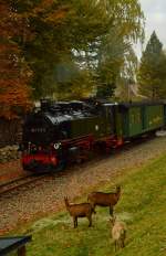 99 1772-5 kurz vor Neudorf mit P 1007 am 23.10.2015 (3)