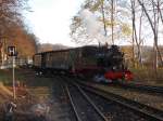 Nachdem 99 4802 an der Einfahrt auf dem Gegenzug,am 29.November 2014,gewartet hatte,konnte Sie auch in Binz LB einfahren.