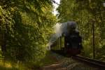 99 4011-5 rollt mit P 104 durch die Baaber Heide zwischen Göhren und Philippshagen am 06.08.2015