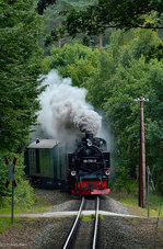 99 1781-6 mit P 224 zwischen Sellin West und Garftitz am 19.07.2016