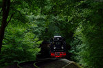 99 1784-0 zwischen Jagdschloß und Garftitz mit P 105 am 19.07.2016