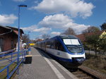 Auch im Bahnhof Klosterfelde erwischte ich,am 08.April 2016,die NEB,dort war es der VT729.
