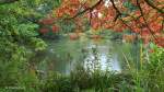 Herbstlicher Teich im Böhmepark von Soltau.