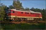 LEG 132 004 / 232 204-0 fuhr am Abend des 29.08.2017 solo durch die Berliner Wuhlheide.