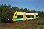 Selten sind die Regio-Shuttle der ODEG auf dem Berliner Außenrig in der Wuhlheide geworden. VT 650.084 war am 29.08.2017 auf Dienstfahrt als er fotografiert werden konnte. Ein Gruß an den freundlichen Tf zurück!