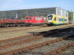 155 084 und der ODEG VT 646.040,am 13.Oktober 2026,durch den Zaun fotografiert,im OMB Werk Neustrelitz.