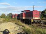 204 311 und 204 354 standen am 12.09.2011 in Stendal.