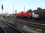 261 046 fuhr am 16.09.2011 von Stendal nach Magdeburg.