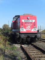 Adam 23 Judy  (ex 202 240) stand am 02.10.2011 in Stendal.