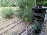 Die Natur erobert sich ihren Bestand im Naturpark Südgelände Berlin, ehemals Verschiebebahnhof Tempelhof zurück.