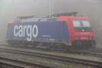 die schadhafte SBB-Cargo 482 042-9 kam am Morgen mit dem Holzzug von Stendal-Niedergrne nach Rostock-Bramow und stand am Nachmittag abgestellt im Bahnhof Rostock-Bramow.06.11.2011