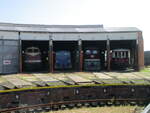 Ein Teil der ausgestellten Dieselfahrzeuge im Eisenbahnmuseum Arnstadt am 04.September 2021.