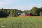 01 533 mit Sonderzug aus Cheb nach Linz bei Oberteich.