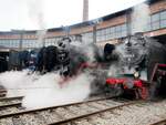 CD 498 104 und 50 3501 und und 01 2118-6 im Lokschuppen beim 8, Dampfloktreffen in Dresden Alttadt am 15.04.2016.
