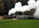 99 633 das Öchsle bei Reinstetten am 24.10.2021.