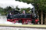 99 633 das Öchsle in Warthausen am 24.10.2021.