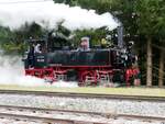 99 633 das Öchsle in Warthausen am 24.10.2021.
