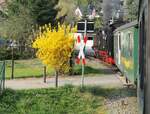Fahrt mit der 99 1762-6 im Lößnitztal am 12.04.2016.