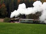 99 633 das Öchsle bei Reinstetten am 24.10.2021.
