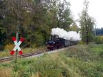 99 633 Tssd im Wald bei Maselheim am 02.10.2021.