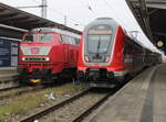 218 406-7 und 445 010 am 21.12.2025 im Rostocker Hbf.