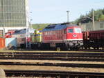 232 535 mu�te ich mit Zoom,am 13.Oktober 2026,durch den Zaun fotografieren,im OMB Werk Neustrelitz.