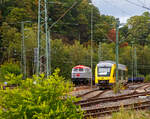 Die 216 121-4 „PHOENIX“ (92 80 1216 121-4 D-FSI) der FSI Logistik GmbH, eine On Rail DH 1504 (umgebaute V 160) ist am 17.09.2022, mit einem Schotterzug (Niederbordwagen der Gattung Eamos), in Betzdorf/Sieg abgestellt.

Die Spenderlok (V 160) wurde 1967 von Deutz (KHD, Kln-Deutz) unter der Fabriknummer 58143 gebaut und an die Deutsche Bundesbahn als V 160 121 geliefert, zum 01.01.1968 erfolgte die Umzeichnung in DB 216 121-4 und im Dezember 1998 erfolgte die Ausmusterung bei der DB und sie ging 2000 an die On Rail Gesellschaft fr Eisenbahnausrstung und Zubehr mbH in Mettmann, welche bei der bei VSFT in Kiel zur heutigen DH 1504/6 umbauen lie. Im Juni 2003 ging die umgebaute Lok dann an die OHE - Osthannoversche Eisenbahnen AG in Celle, wo sie die Betreiberbezeichnung 200095 bekam. Im Jahr 2005 erhielt sie dann die Betreiberbezeichnung OHE 200085 und 2007 die NVR-Nummer 92 80 1216 121-4 D-OHE. Im Jahr 2012 ging sie an die OHE Cargo kam sie 2012 und bekam die NVR-Nummer 92 80 1216 121-4 D-OHEGO. Im August 2022 ging sie an die FSI Logistik GmbH in Bottrop.
