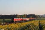 218 401 und 426 ziehen den Hochfranken Express DPE 95992 von Hof nach Prag kurz nach Sonnenaufgang bei Neudes bei Marktleuthen.