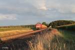 232 618-9 mit leer Schotterzug bei Oberteich.