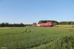 232 262 und 232 609 ziehen in DT den M62578 nach Grafenwöhr Lager bei Marktleuthen.